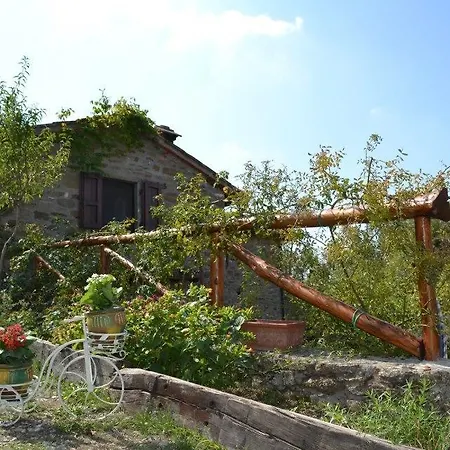 Apartment Podere Spinabbio Castiglion Fiorentino