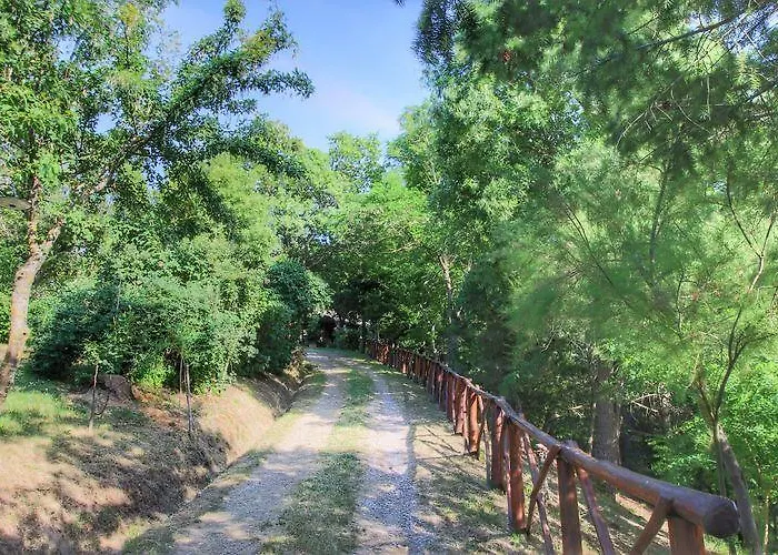Podere Spinabbio דירה *